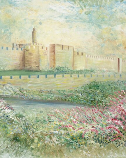 THE CITY OF DAVID